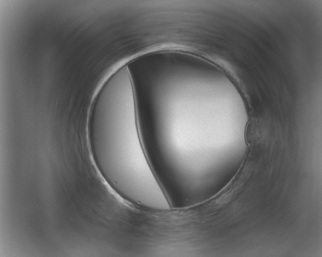 X0000062890910200601131013