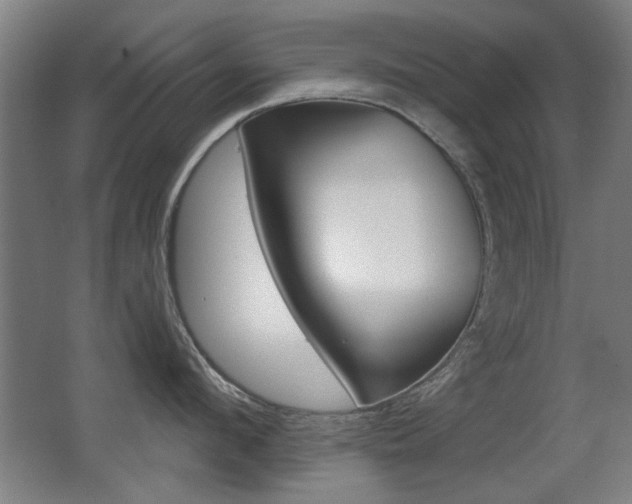 X0000062890912200601131013