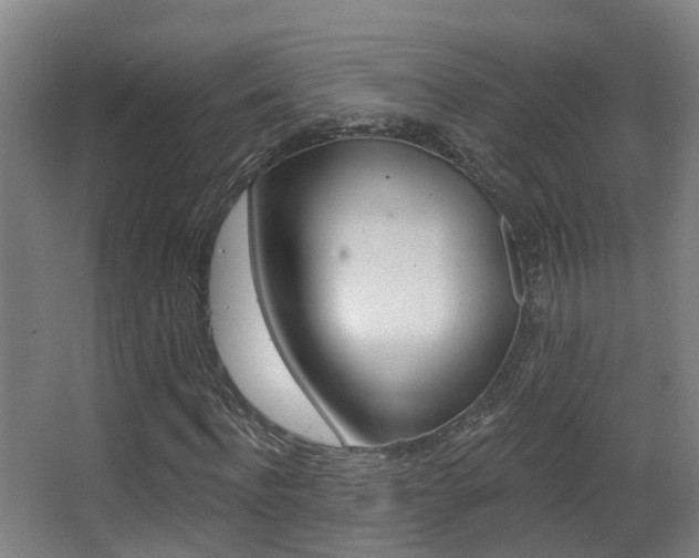 X0000062890916200601131013