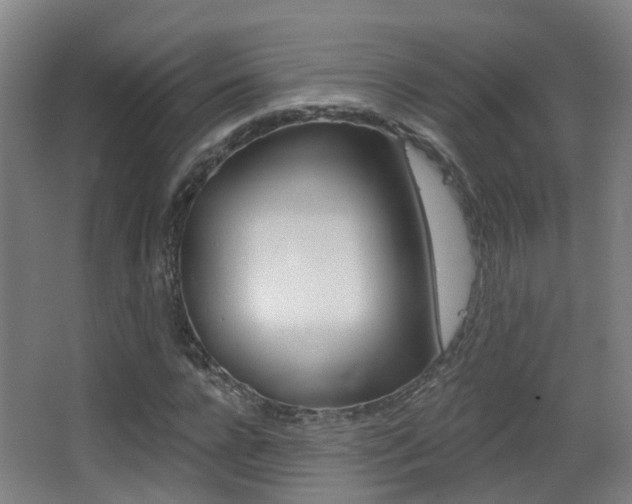 X0000062890920200601131013
