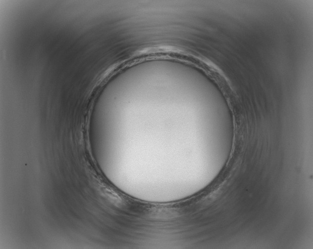 X0000062890921200601131013