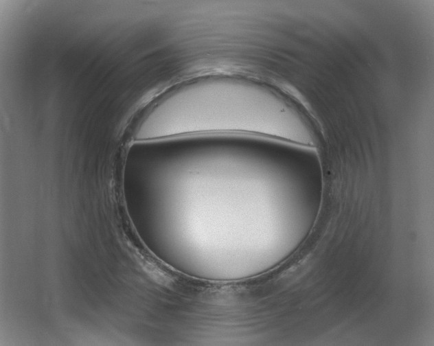 X0000062890922200601131013