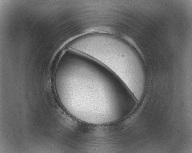 X0000062890923200601131013