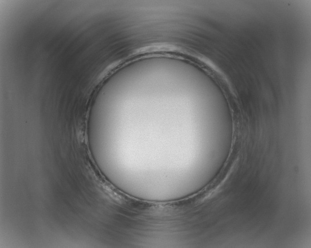 X0000062890929200601131013