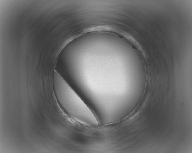 X0000062890945200601131013