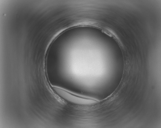 X0000062890948200601131013