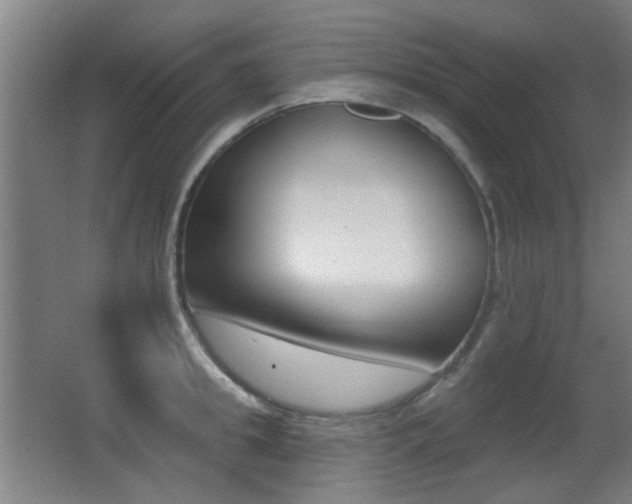 X0000062890949200601131013