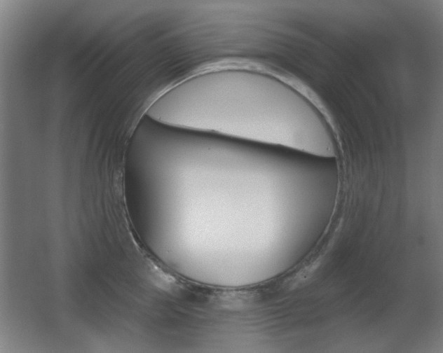 X0000062890953200601131013