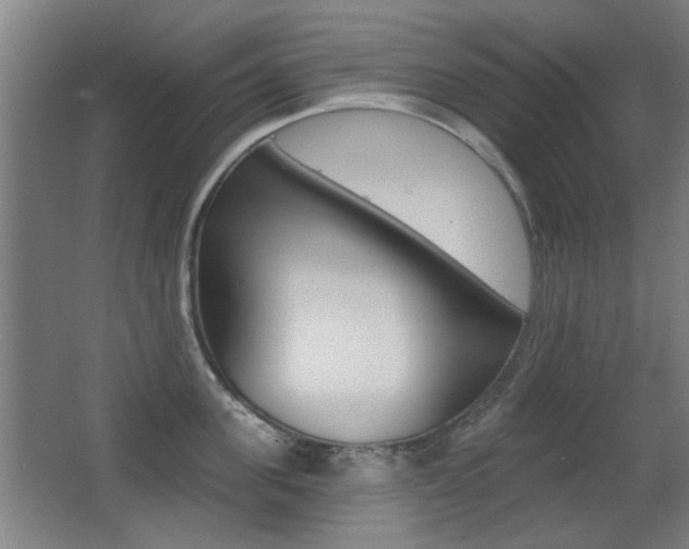 X0000062890955200601131013