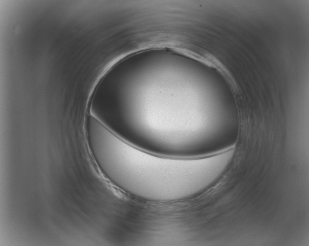 X0000062890956200601131013