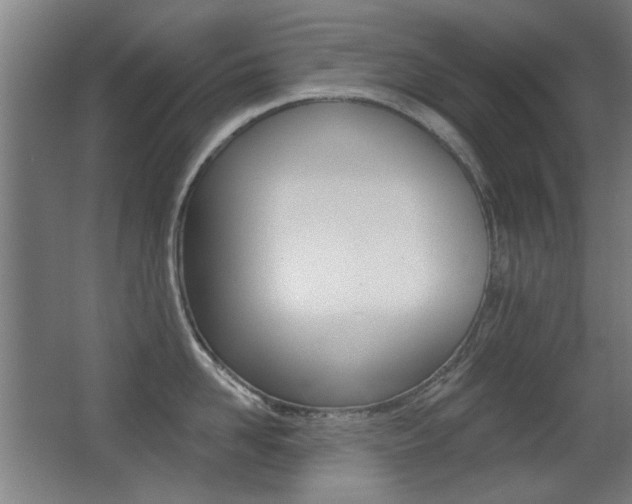 X0000062890958200601131013