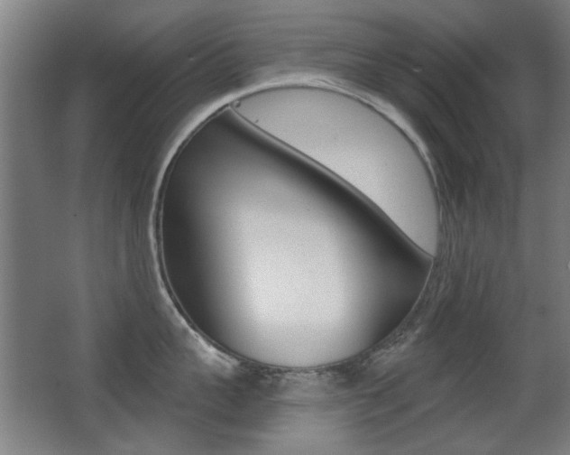 X0000062890959200601131013