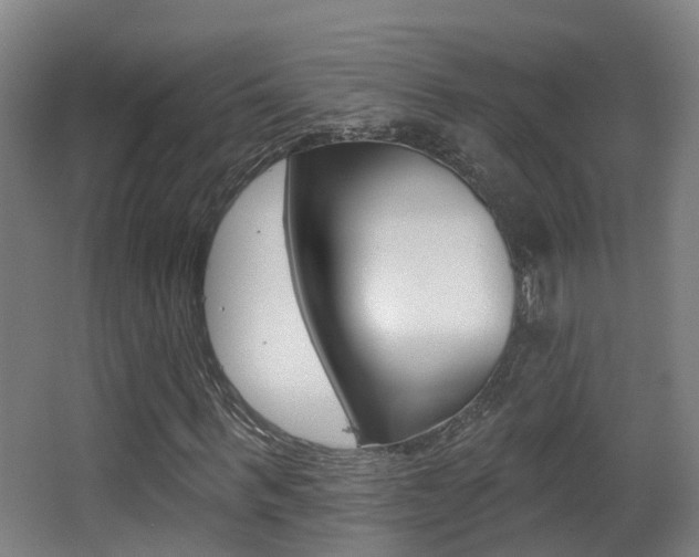 X0000062890963200601131012