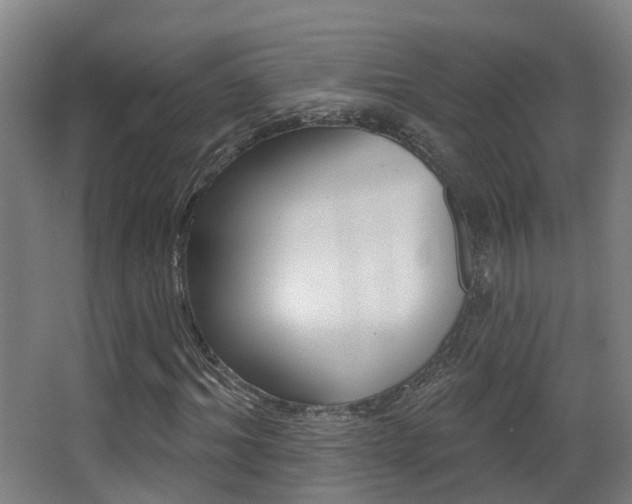 X0000062890964200601131012