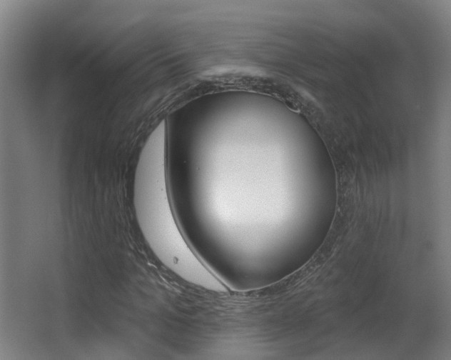 X0000062890965200601131012