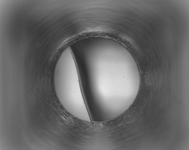X0000062890968200601131012