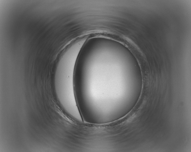 X0000062890969200601131012