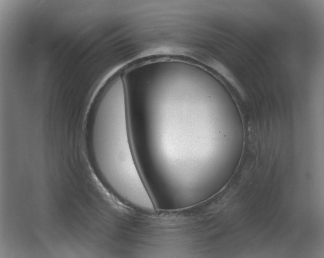 X0000062890972200601131012