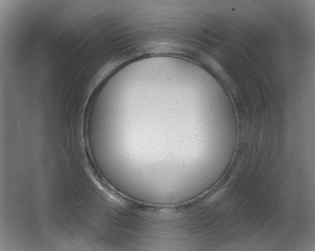 X0000062890986200601131012