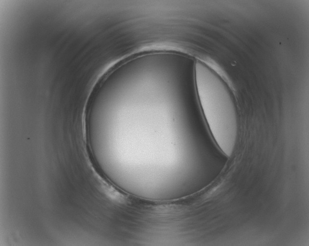 X0000062890988200601131012