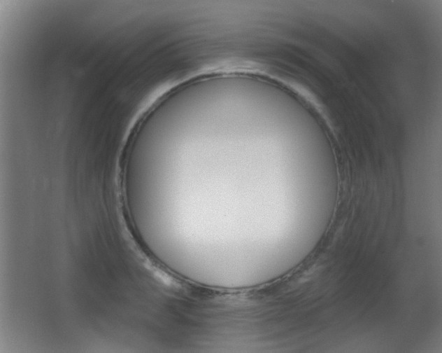 X0000062890990200601131012