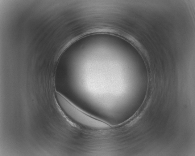 X0000062890993200601131012