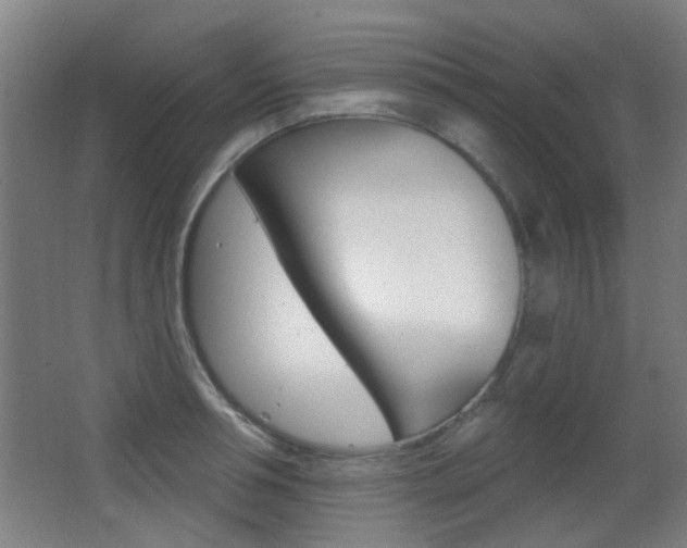 X0000062890994200601131012