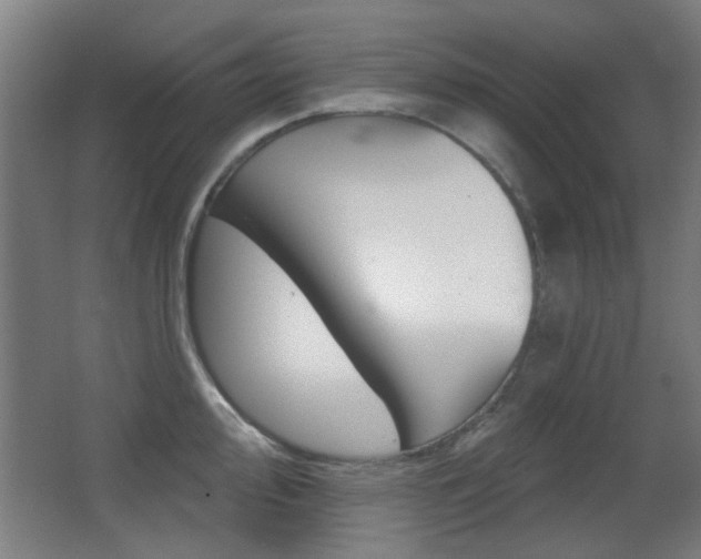 X0000062891000200601131012