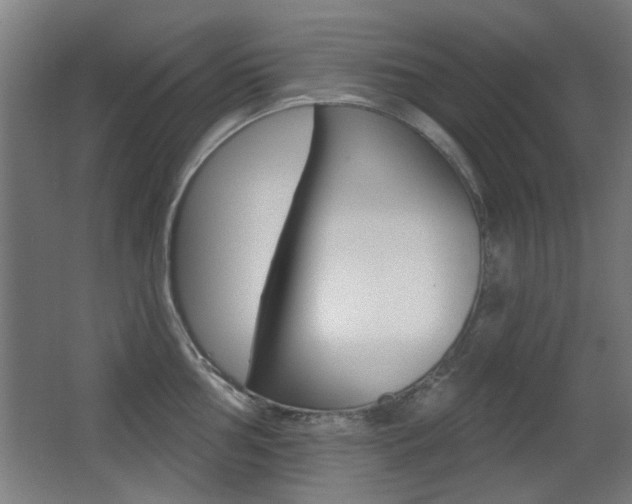 X0000062891002200601131012