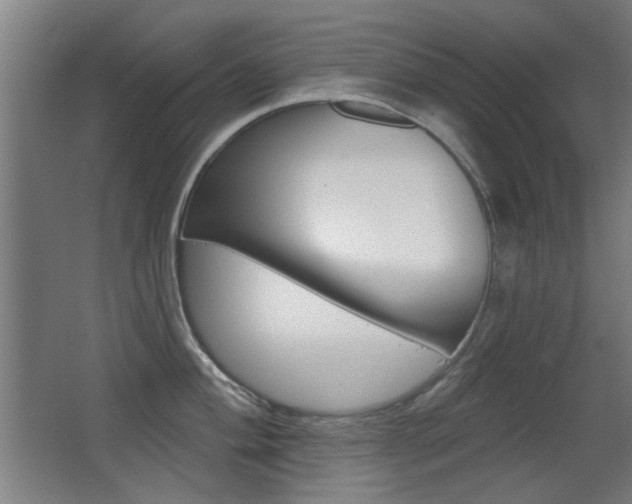 X0000062891004200601131012