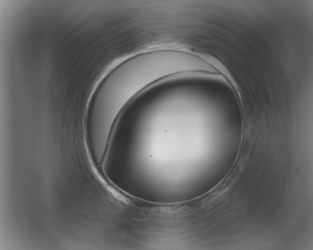 X0000062891005200601131012