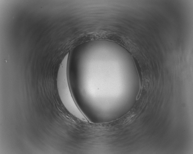 X0000062891010200601131011