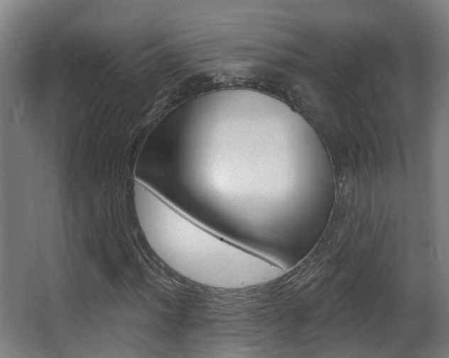 X0000062891012200601131011