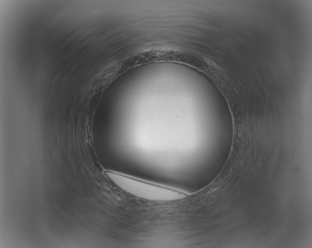 X0000062891014200601131011