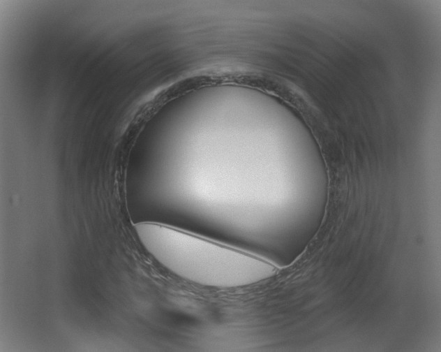 X0000062891016200601131011