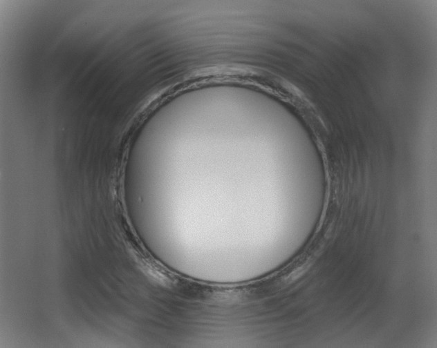 X0000062891017200601131011