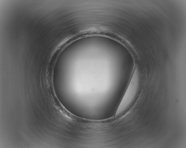 X0000062891018200601131011