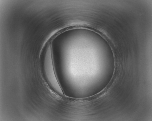 X0000062891022200601131011