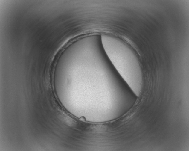X0000062891023200601131011