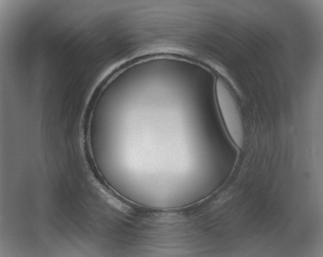 X0000062891024200601131011