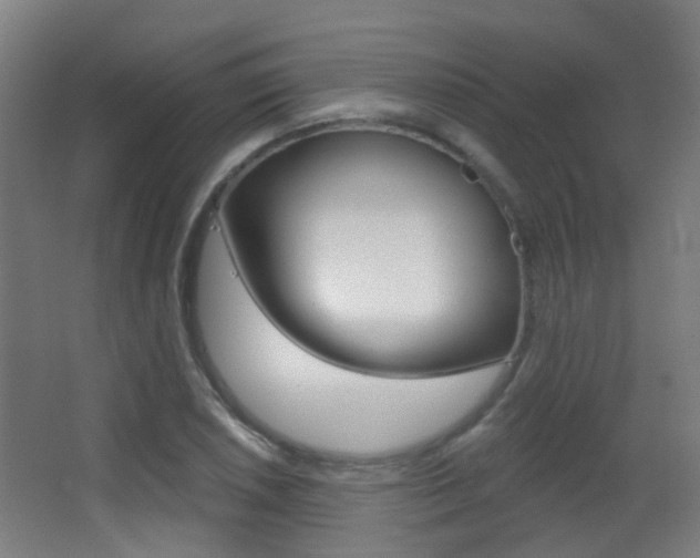 X0000062891026200601131011
