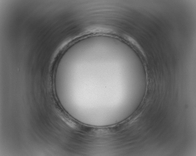 X0000062891027200601131011