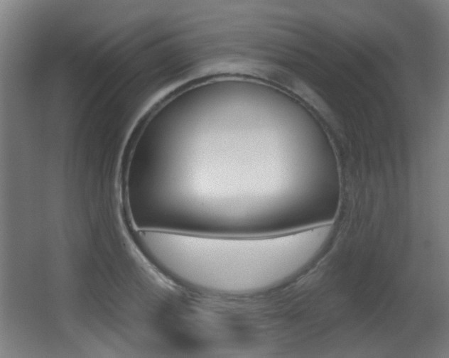 X0000062891028200601131011