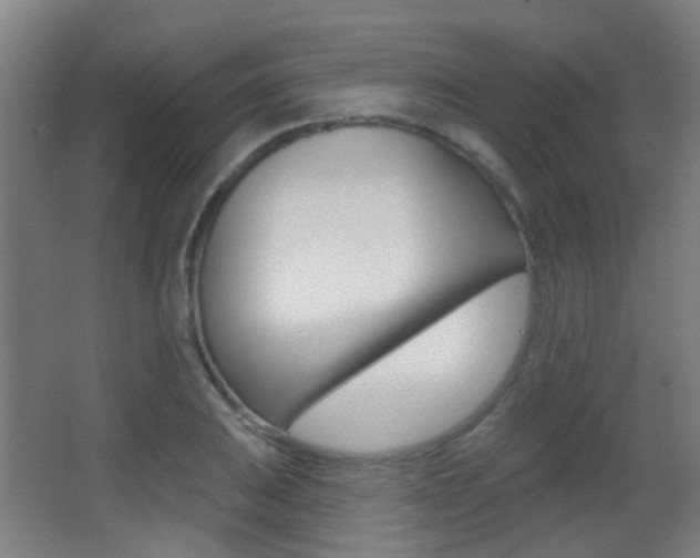 X0000062891031200601131011