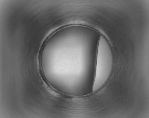 X0000062891032200601131011