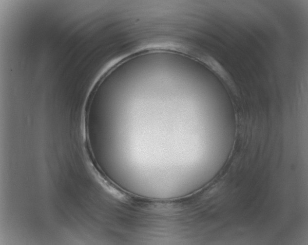 X0000062891036200601131011