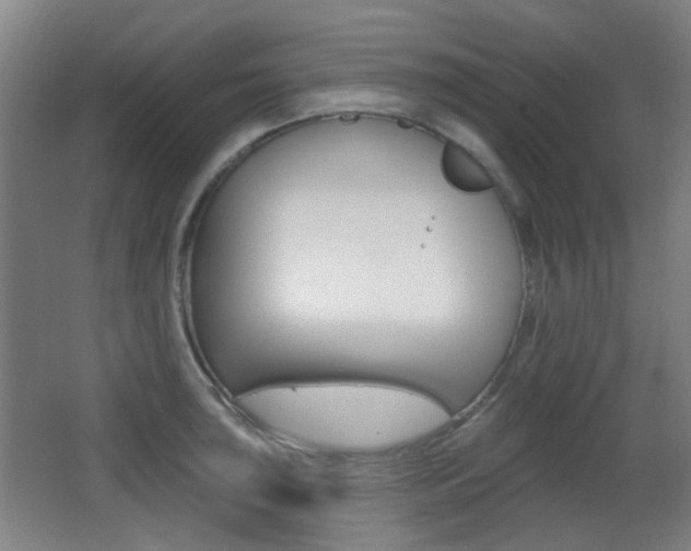 X0000062891043200601131011