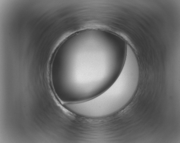 X0000062891046200601131011