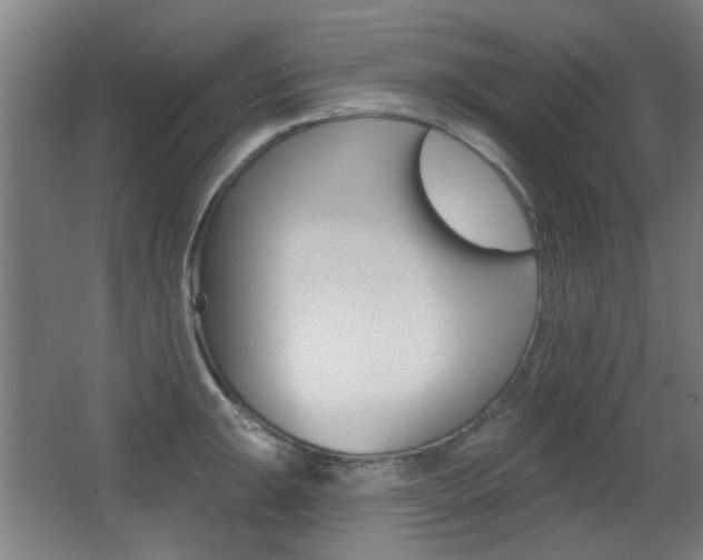 X0000062891047200601131011