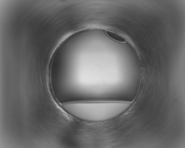 X0000062891048200601131011